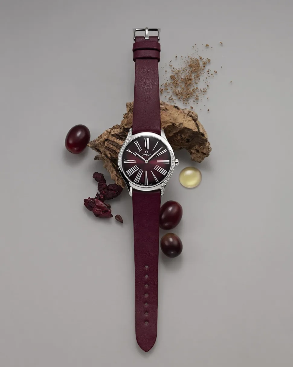 Cinturino vegano bordeaux con fibbia ad ardiglione