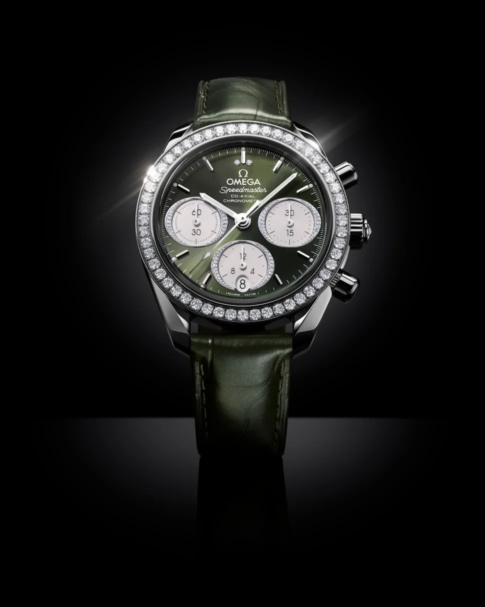 38 mm, acciaio su alligatore