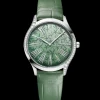 36 mm, acciaio su alligatore