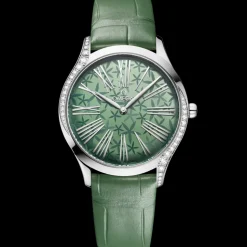 36 mm, acciaio su alligatore