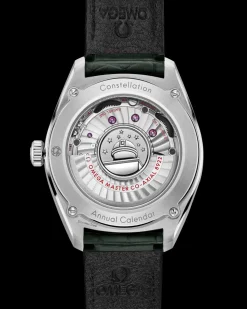 41 mm, acciaio su cinturino di pelle