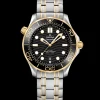 42 mm, acciaio‑oro giallo su acciaio‑oro giallo