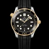 42 mm, acciaio‑oro giallo su cinturino in caucciù