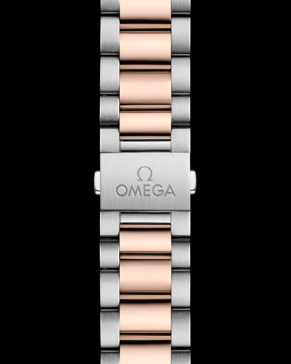 41 mm, acciaio‑oro Sedna™ su acciaio‑oro Sedna™