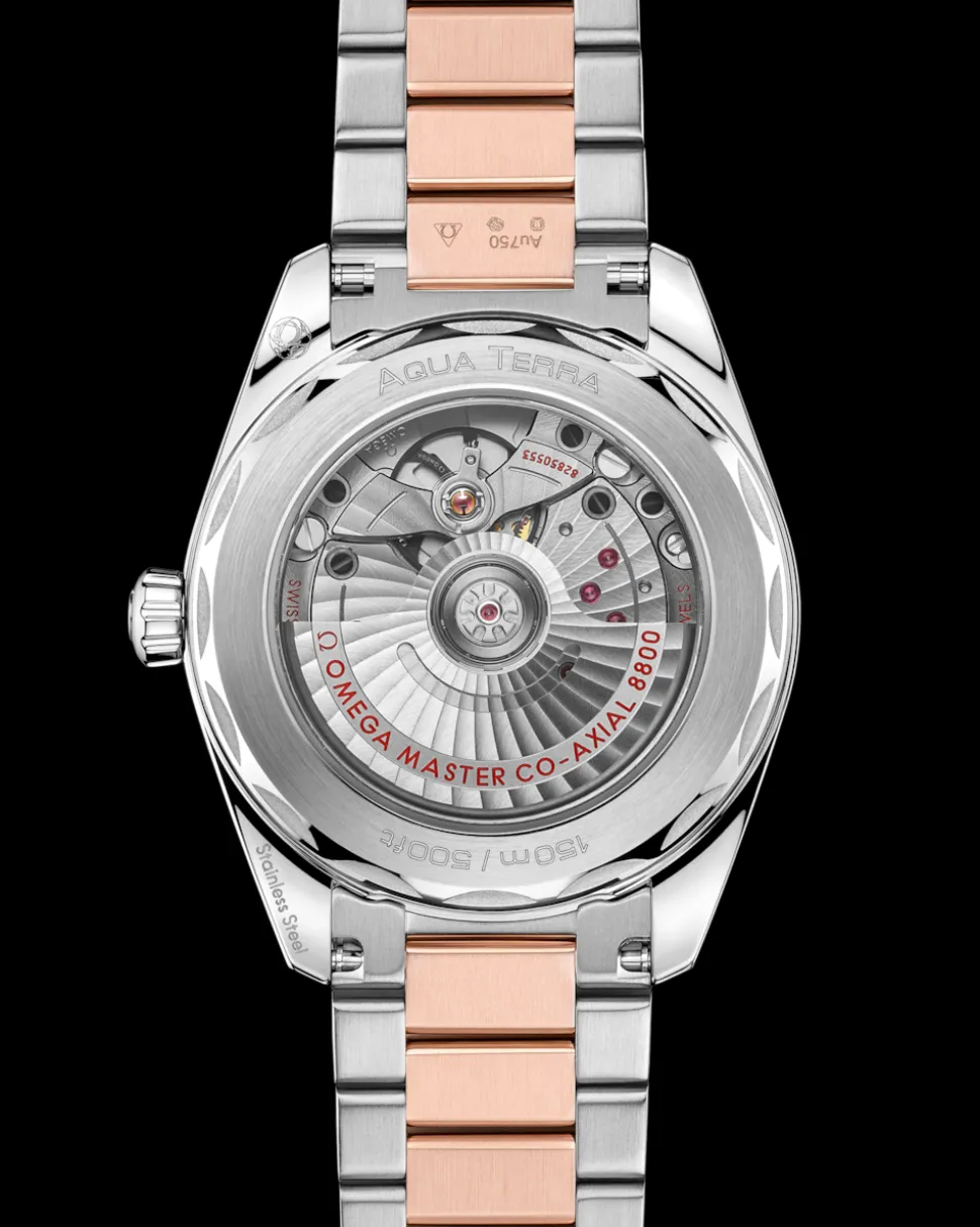 38 mm, acciaio‑oro Sedna™ su acciaio‑oro Sedna™