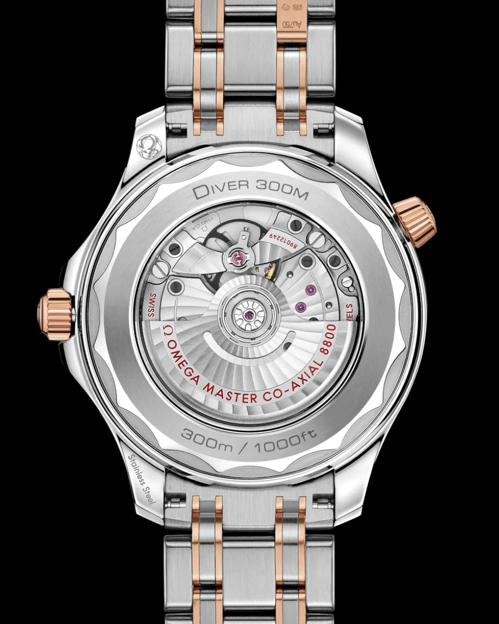 42 mm, acciaio‑oro Sedna™ su acciaio‑oro Sedna™