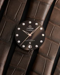36 mm, acciaio‑oro Sedna™ su cinturino di pelle