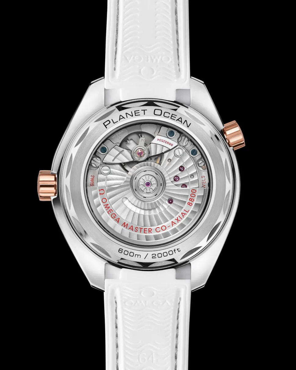 39,5 mm, acciaio‑oro Sedna™ su cinturino in pelle con rivestimento interno in caucciù