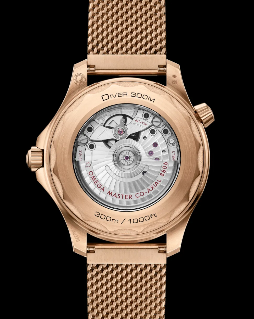 42 mm, Bronze gold su Bronze gold
