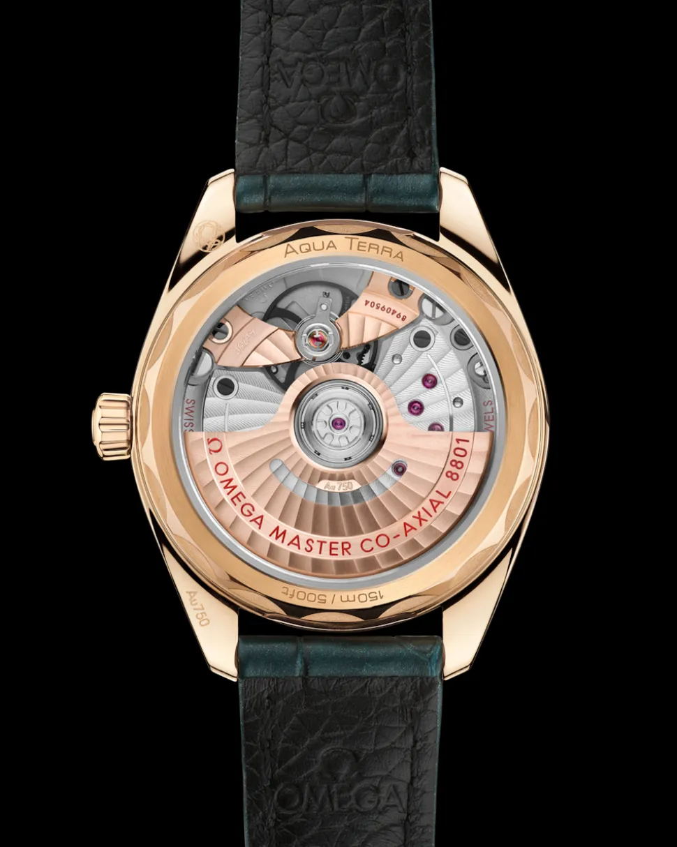 34 mm, oro Moonshine™ su cinturino di pelle