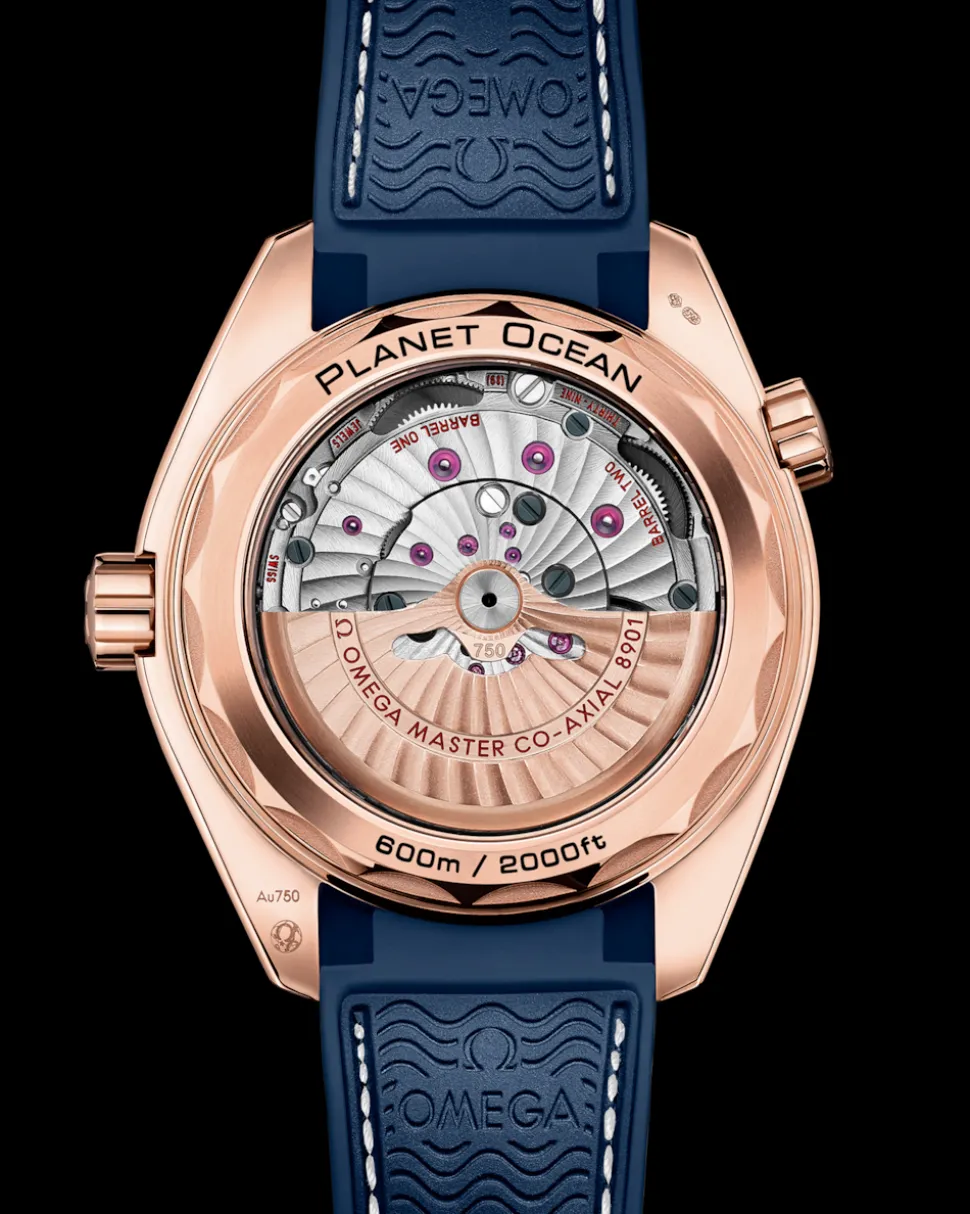 43,5 mm, oro Sedna™ su cinturino in pelle con rivestimento interno in caucciù