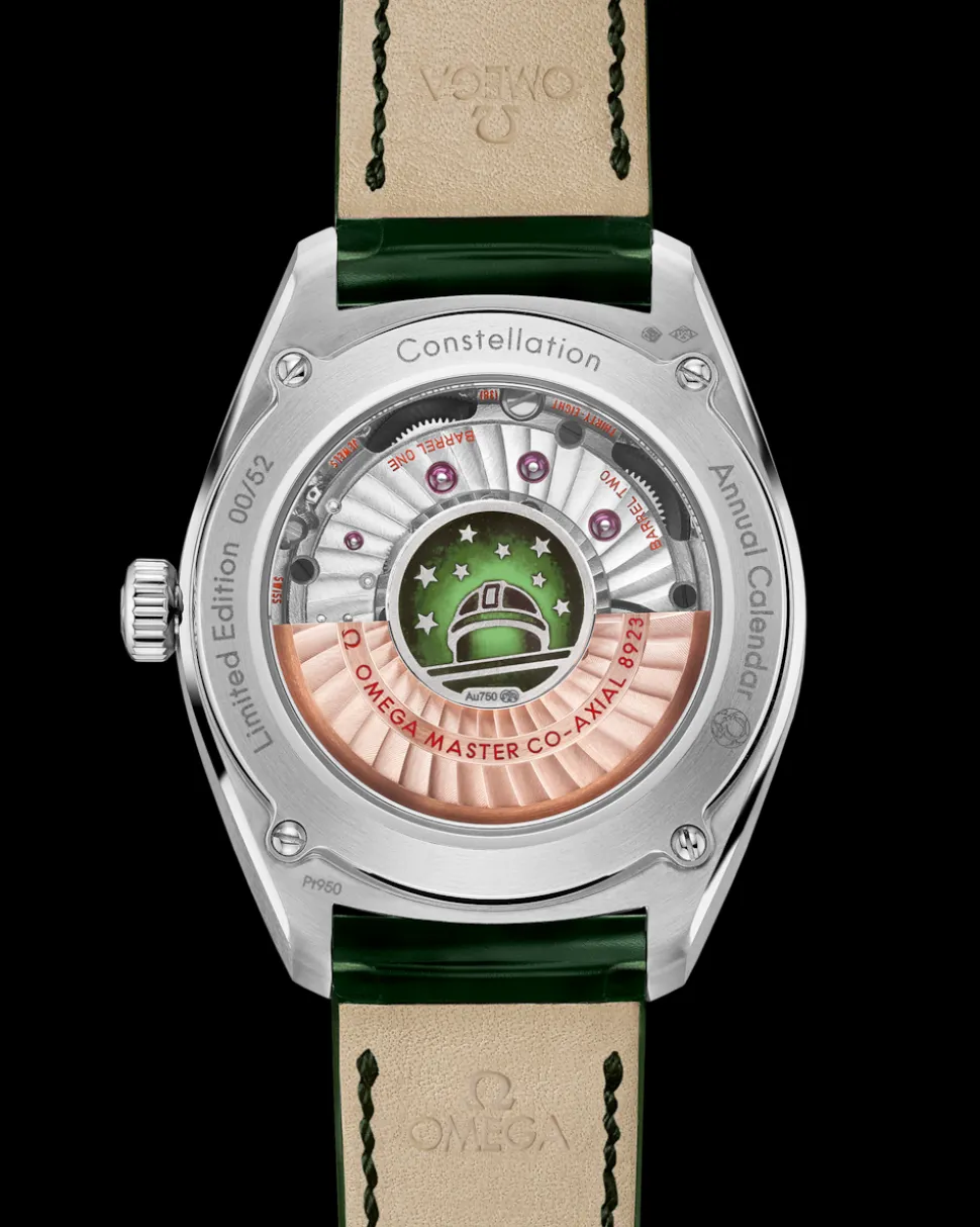 41 mm, platino su cinturino di pelle