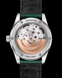 41 mm, platino su cinturino di pelle